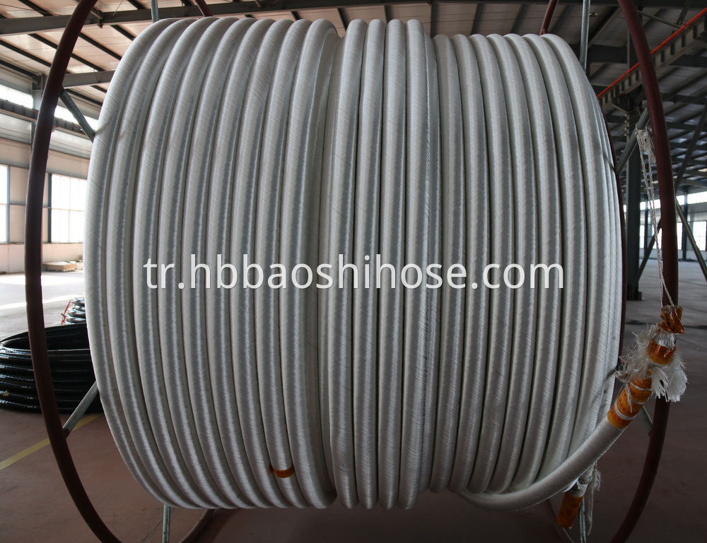 Offshore Transmission Flexible Hose